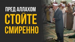 ОЖИВИ СВОЙ НАМАЗ | Тафсир Корана | Шейх Рамадан аль-Буты