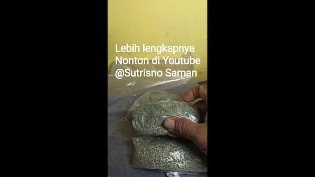 Trichoderma смотреть онлайн