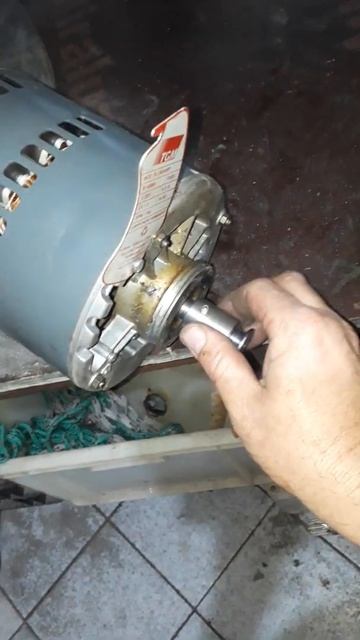motor GE queimado ñ se desespere FAMÍLIA NALIM REFRIGERAÇÃO RESOLVE смотреть онлайн