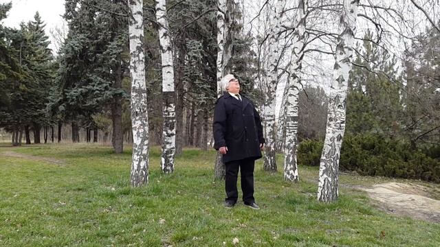 БЕРЁЗОВЫЙ СОК смотреть онлайн