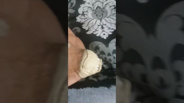 ☢️ ШОК 15 экспериментов над гориллой смотреть онлайн