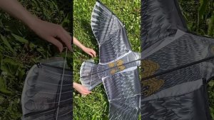 Сборка отпугивателя птиц «Орел» с флагштоком 4 метра