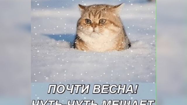 Позитивного настроения😘😘😘 смотреть онлайн