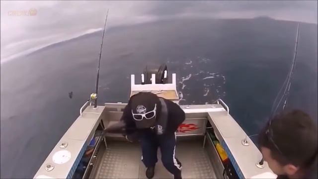 приколы ноябрь 2017 смотреть онлайн