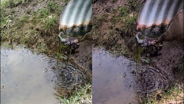 Sonim XP8 vs S20 Ultra camera test (Is it even close?) смотреть онлайн
