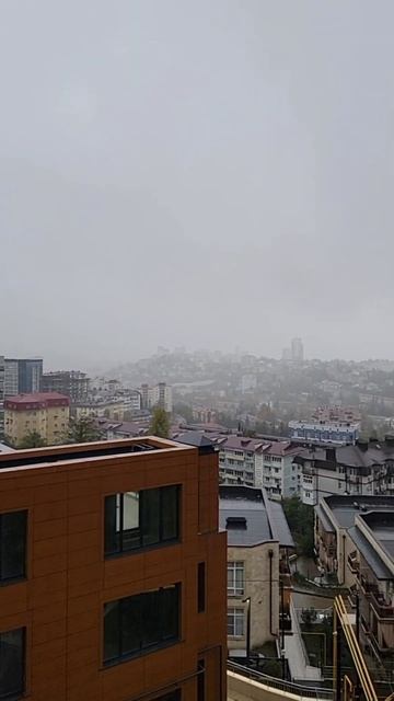 В Сочи дождь.. Но это временное явление😊 Недвижимость Сочи смотреть онлайн