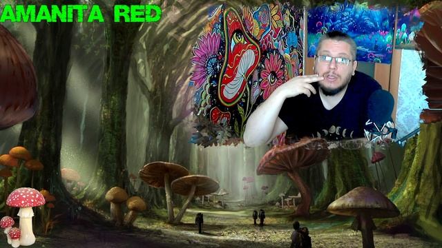 Накопительный Эффект смотреть онлайн