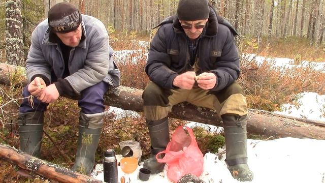 Долгая дорога домой Опасные гигантские зайцы смотреть онлайн