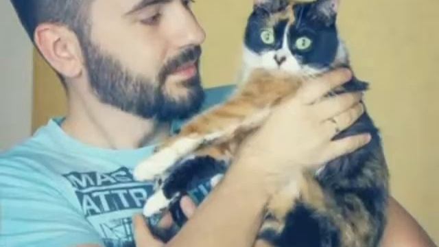 Сливки шоу смотреть онлайн