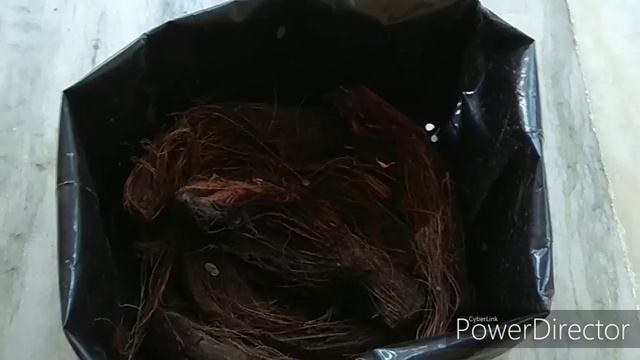 வீட்டு தோட்டத்தில் உருளைக்கிழங்கு வளர்ப்பு || HOW TO GROW POTATO AT HOME