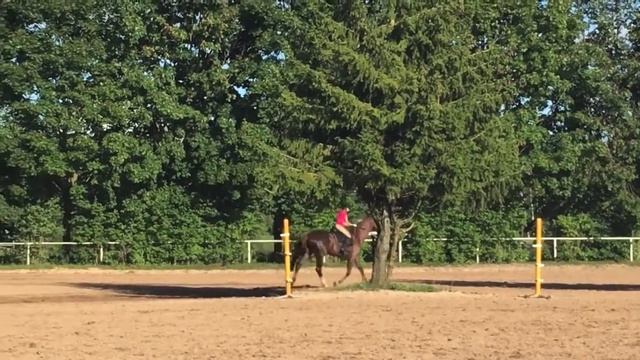 Тренировка 12.08.2016 смотреть онлайн