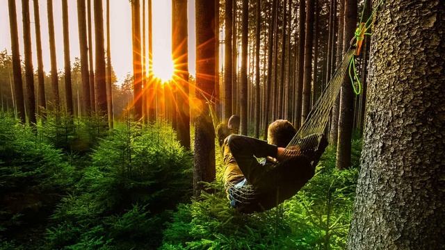 Мухоморные мистерии. Тайные знания доступны всем! История знакомства смотреть онлайн