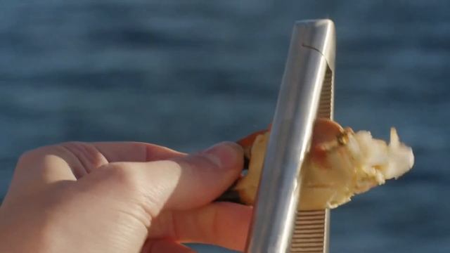 Pagurus krabbebestikk stativ смотреть онлайн