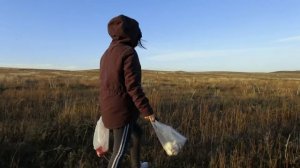 Moza Aircross test|Тест электронного стабилизатора Moza Aircross|По грибы