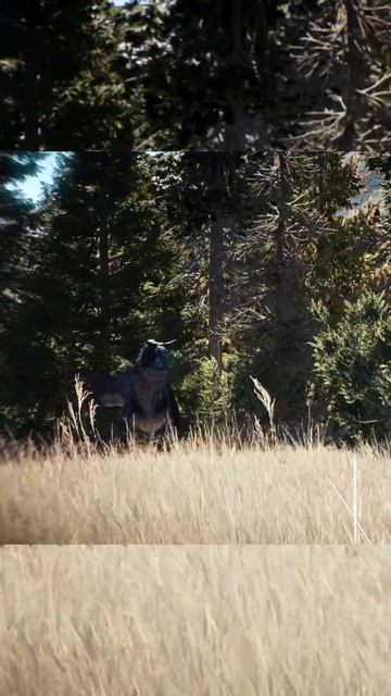 🦖Accurate CARNOTAURUS MOD in JURASSIC WORLD EVOLUTION 2 #jurassicworld #jurassicworldevolution2 смотреть онлайн