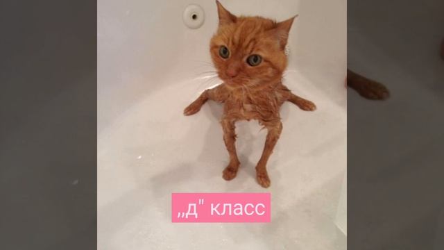 в какой класс ты пойдёшь #shorts смотреть онлайн
