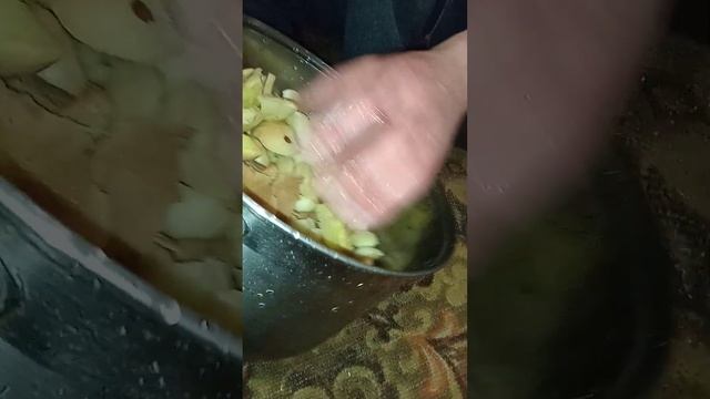 Грибы Зонтики обжаренные с луком смотреть онлайн