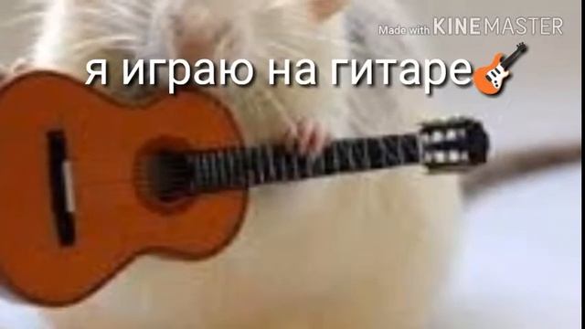 Жизнь хомяков🐹🚬 смотреть онлайн