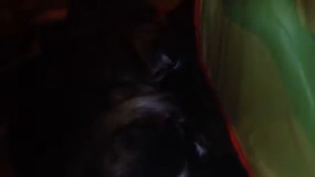 Красотка мама уже целые сутки! 14.10.2016г. смотреть онлайн