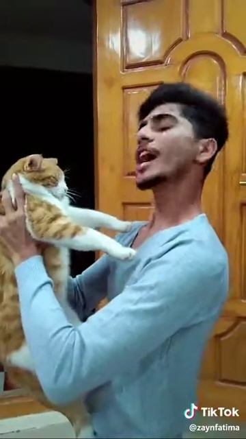 Мужик очень любит своёго кота смотреть онлайн