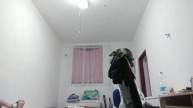 страшный заяц смотреть онлайн