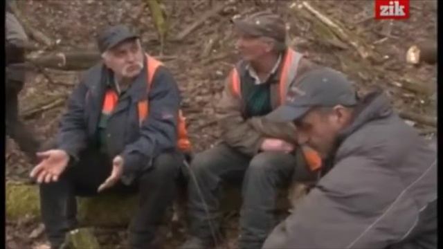 Snopkivskyj Tree Cutting