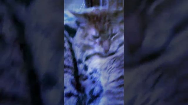 5 минут назад смотреть онлайн