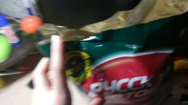 Большая почка Русской корточки