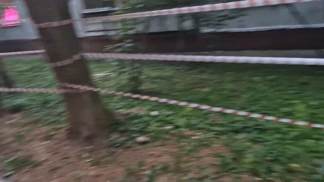 Кошка Моника| Интересные истории на прогулке | Невская Маскарадная| Monica Cat смотреть онлайн