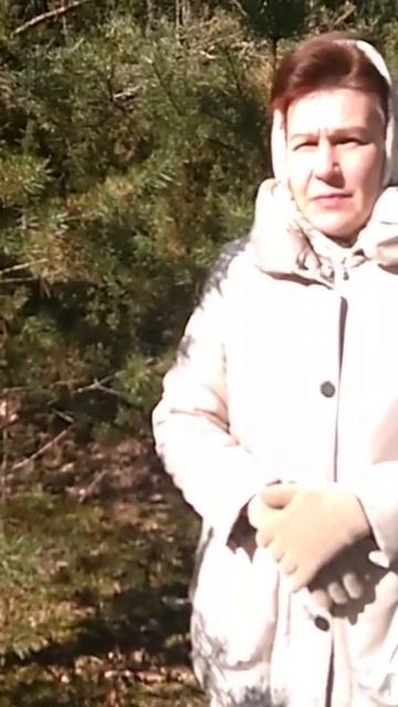Польза Сосновой Хвои. Народные Лечебные Рецепты смотреть онлайн