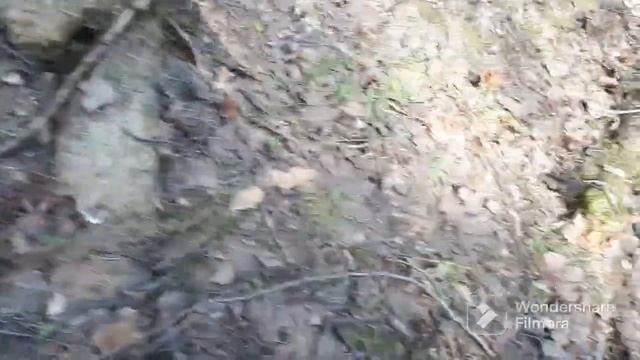 Тихая охота.Строчковая пора.Возмущению нет предела. смотреть онлайн
