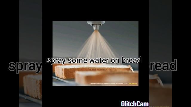 observe fungi on bread смотреть онлайн