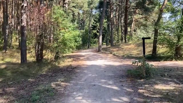 УСПЕЛ С НЕЙ РАЗОК ПО СТАРОЙ ПАМЯТИ. Истории из жизни. Аудио рассказы измена жены в браке