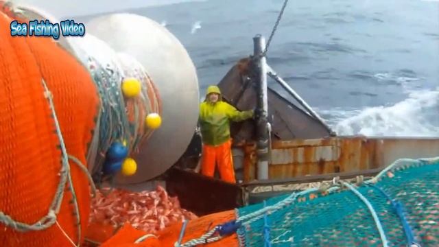 Amazing Big Catching On The Sea - Awesome Catch Hundreds Tons Of Fish With Giant Fishing Net