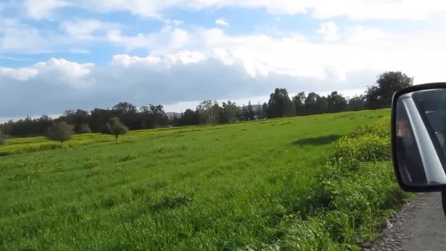 dali olive grove смотреть онлайн