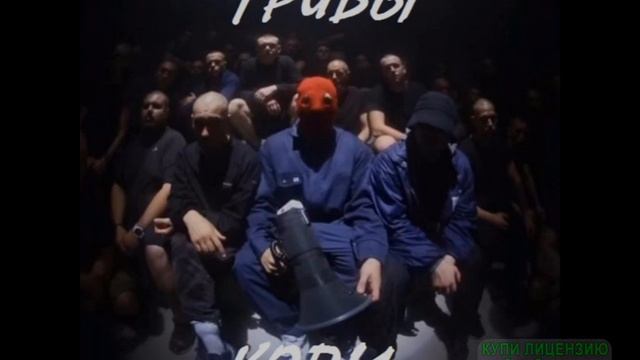 Грибы - Копы смотреть онлайн