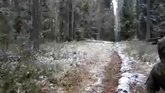 Ohota na kabana смотреть онлайн