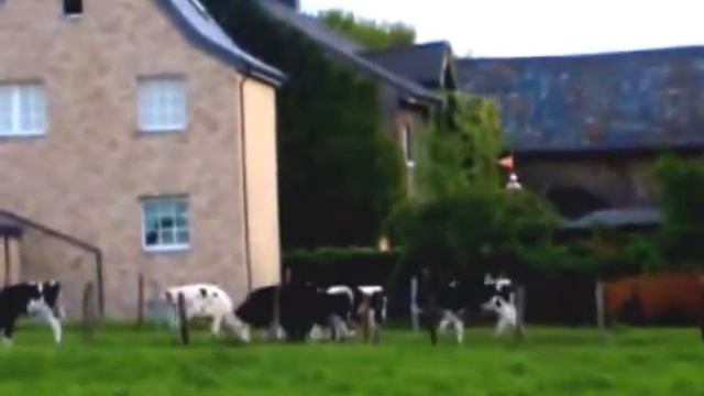 Мое измененное видео смотреть онлайн