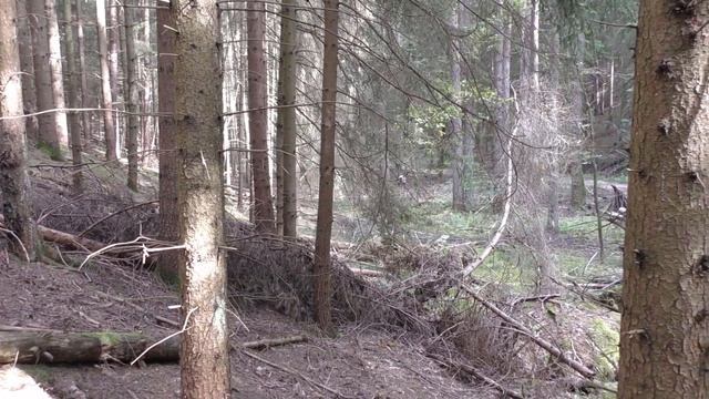 НЕОБЫЧНЫЙ ПРИБОРНЫЙ ПОИСК! смотреть онлайн