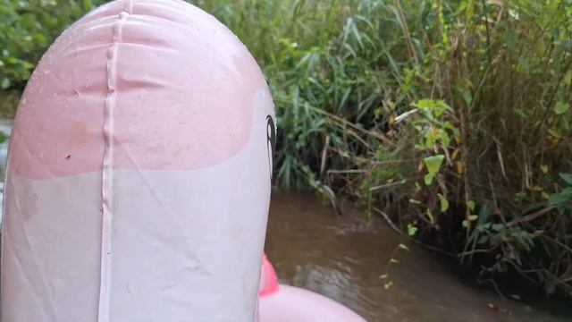 BESTWAY 41110 - Large Inflatable Flamingo 1.91m X 1.78m, Floating On A Small River - 1.08.2023