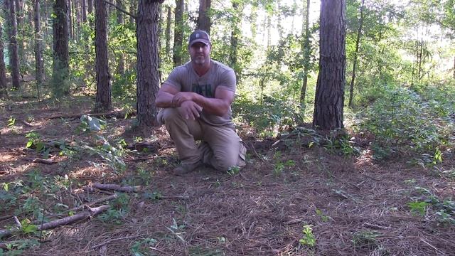 Coyote Hunting & Calling Secrets Revealed смотреть онлайн