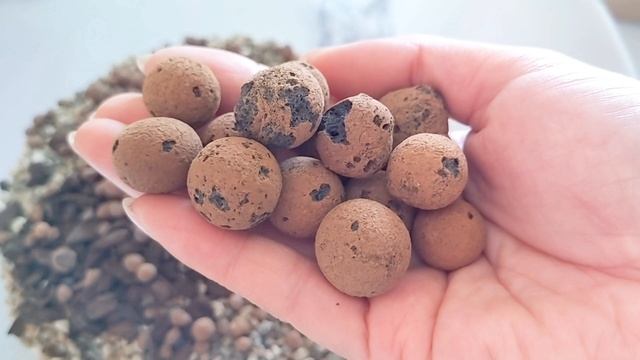 Let's talk about Pon! смотреть онлайн
