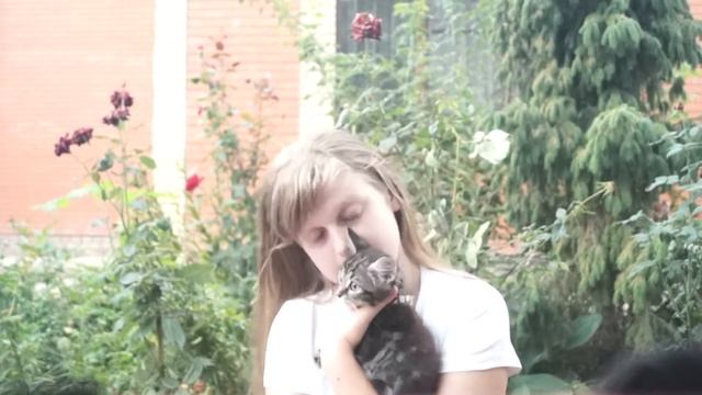 Мы промокнем под дождём... смотреть онлайн