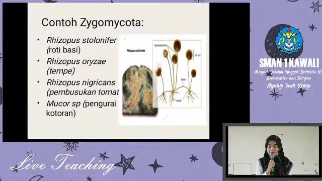 Live Stream BIOLOGI Kelas X смотреть онлайн