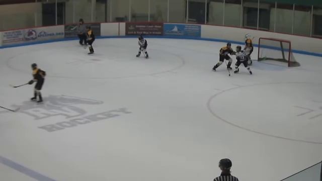 2016 Nov 13 PWAA Bison vs Arvada смотреть онлайн