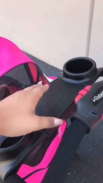 A pet stroller that keeps your furbaby safe, stylish, and comfy😻 #petproducts #petstroller #cutedog смотреть онлайн