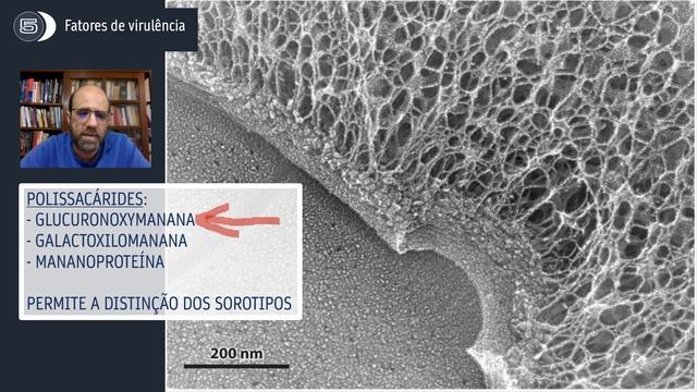 Cryptococcus MED 2021 смотреть онлайн