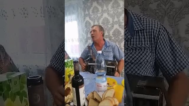 песня про половой орган