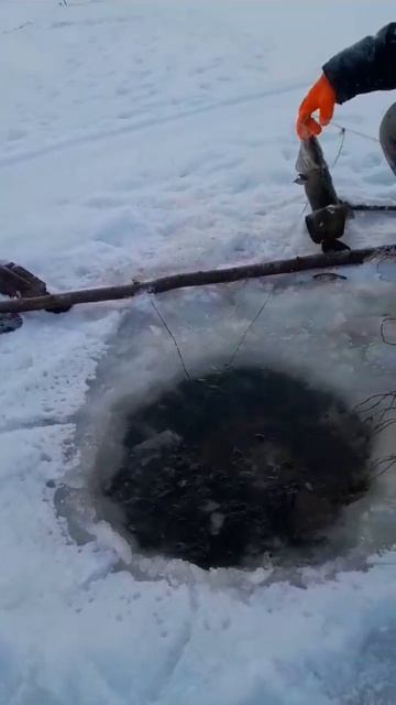 Рыбалка на налима Burbot fishing 2023 смотреть онлайн