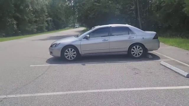 I Found A Alligator Swamp In Raleigh NC !!!🐊🐊🐊 #alligator смотреть онлайн